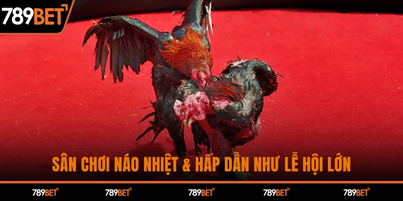 Sân chơi náo nhiệt & hấp dẫn như lễ hội lớn